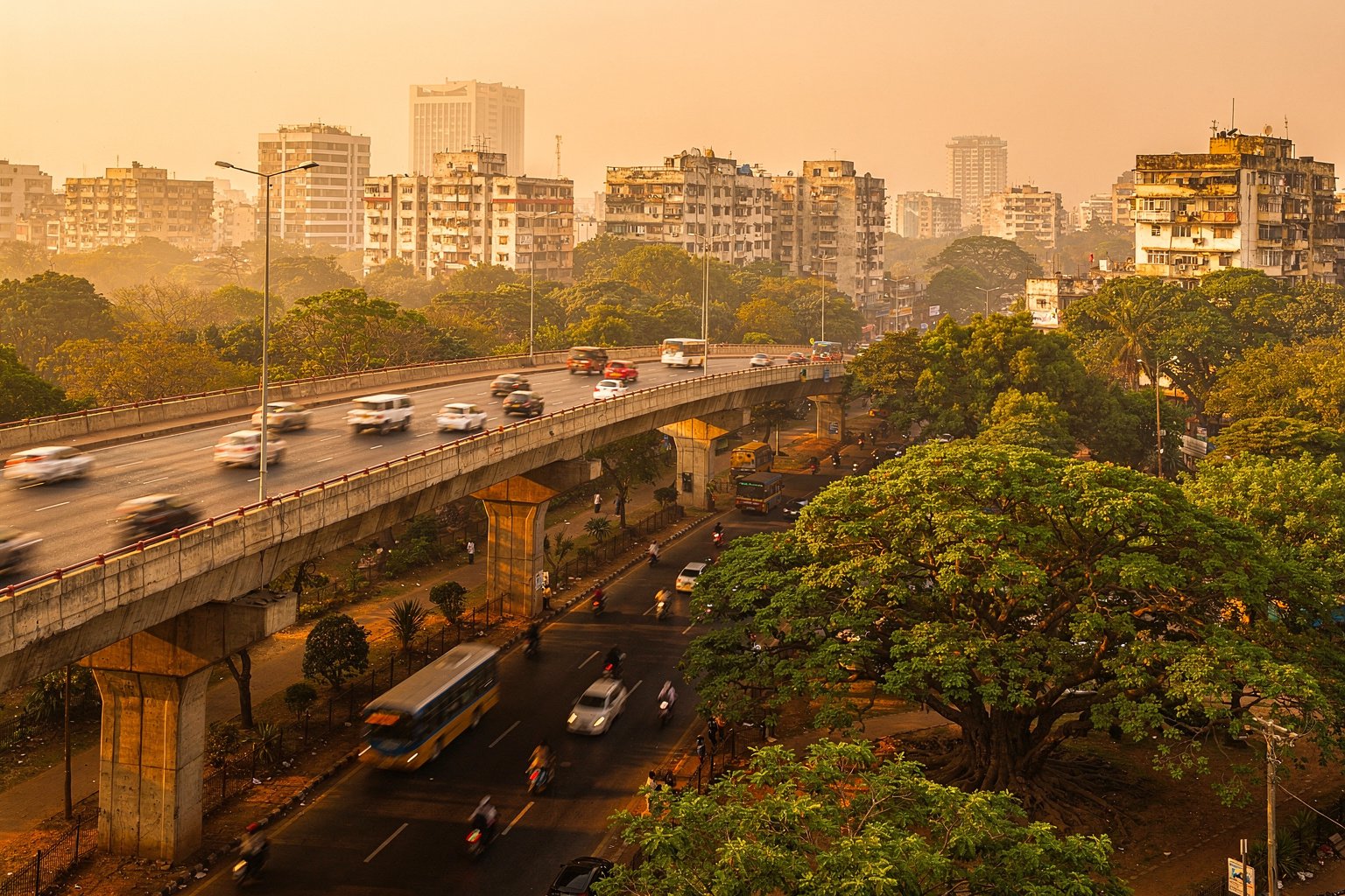 Flyover and tree-lined avenue in a South Indian city at golden hour (illustrative image)