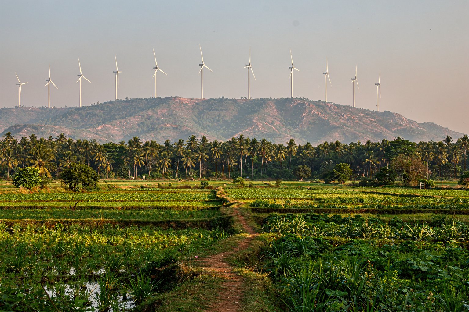 Farmland and wind turbines in western Tamil Nadu (illustrative image)