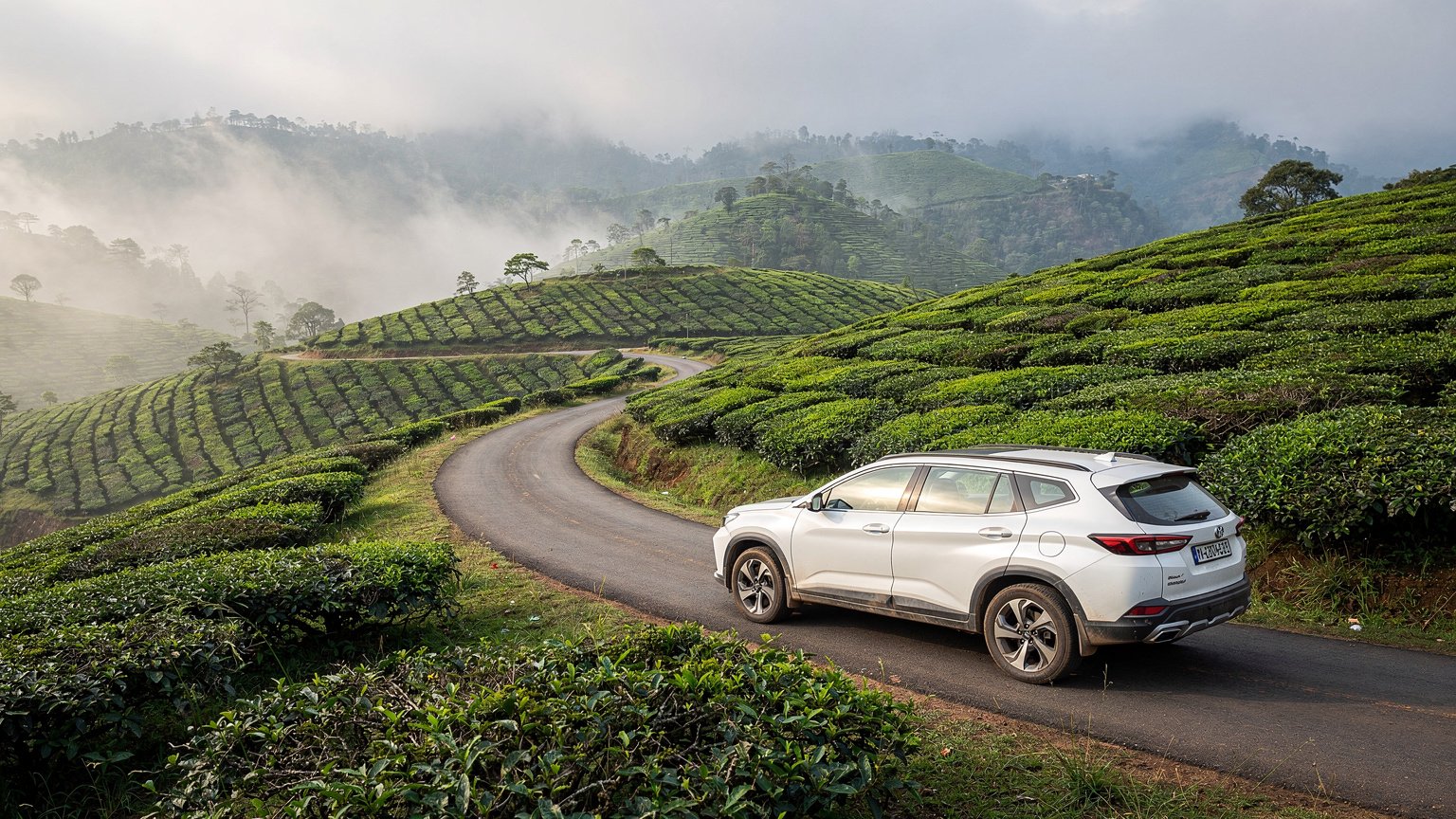 White SUV on a road through tea plantations in the Western Ghats (illustrative image)