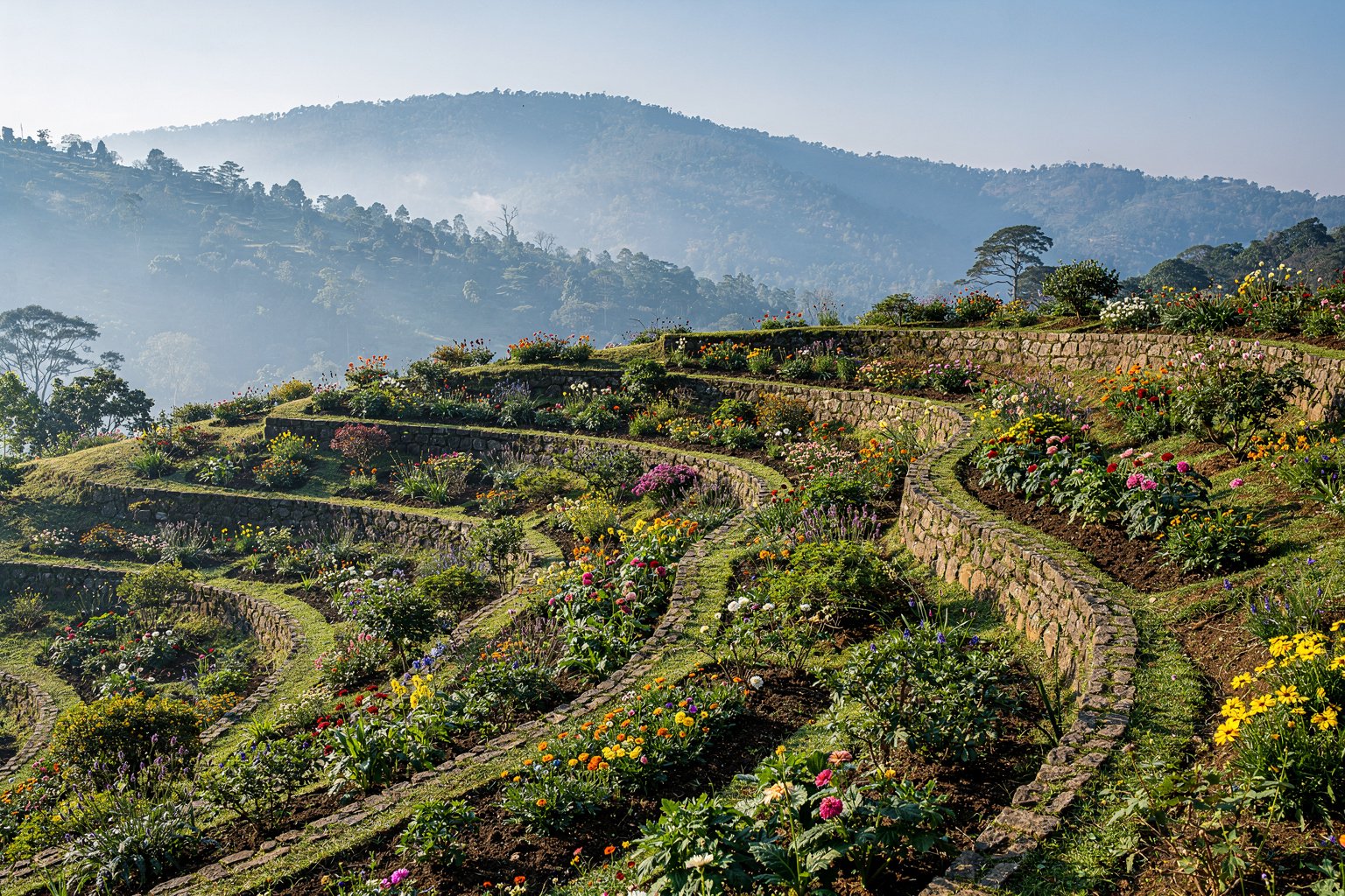 Terraced gardens with the Nilgiri hills behind (illustrative image)