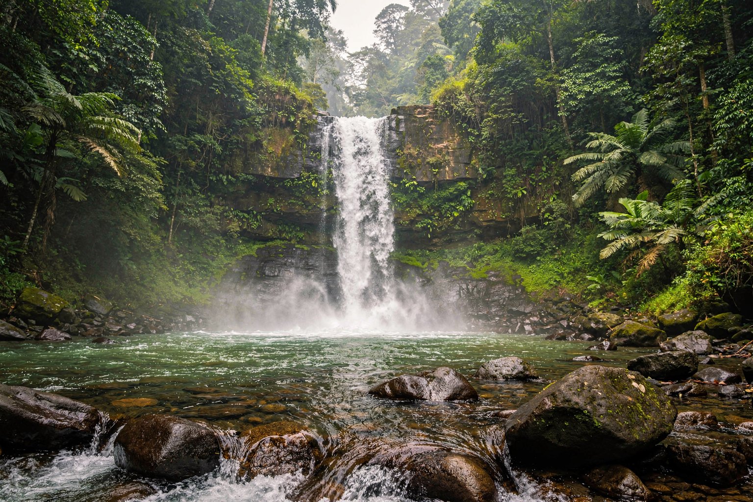 Waterfall in lush Western Ghats forest (illustrative image)