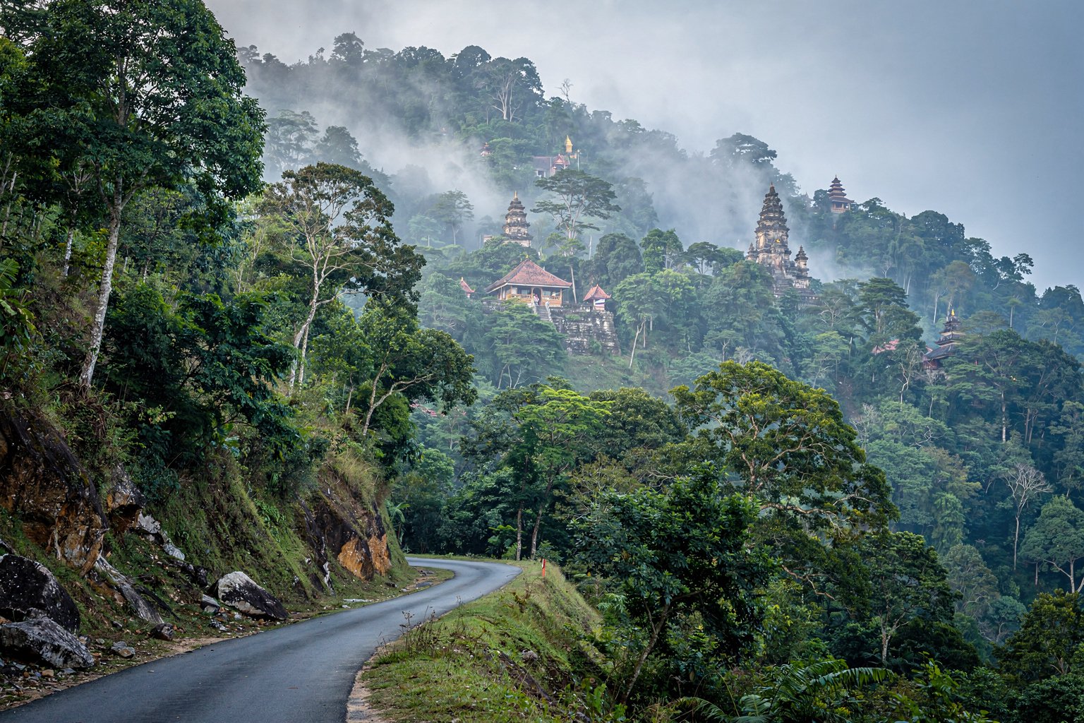 Forested hills in mist with a winding road (illustrative image)