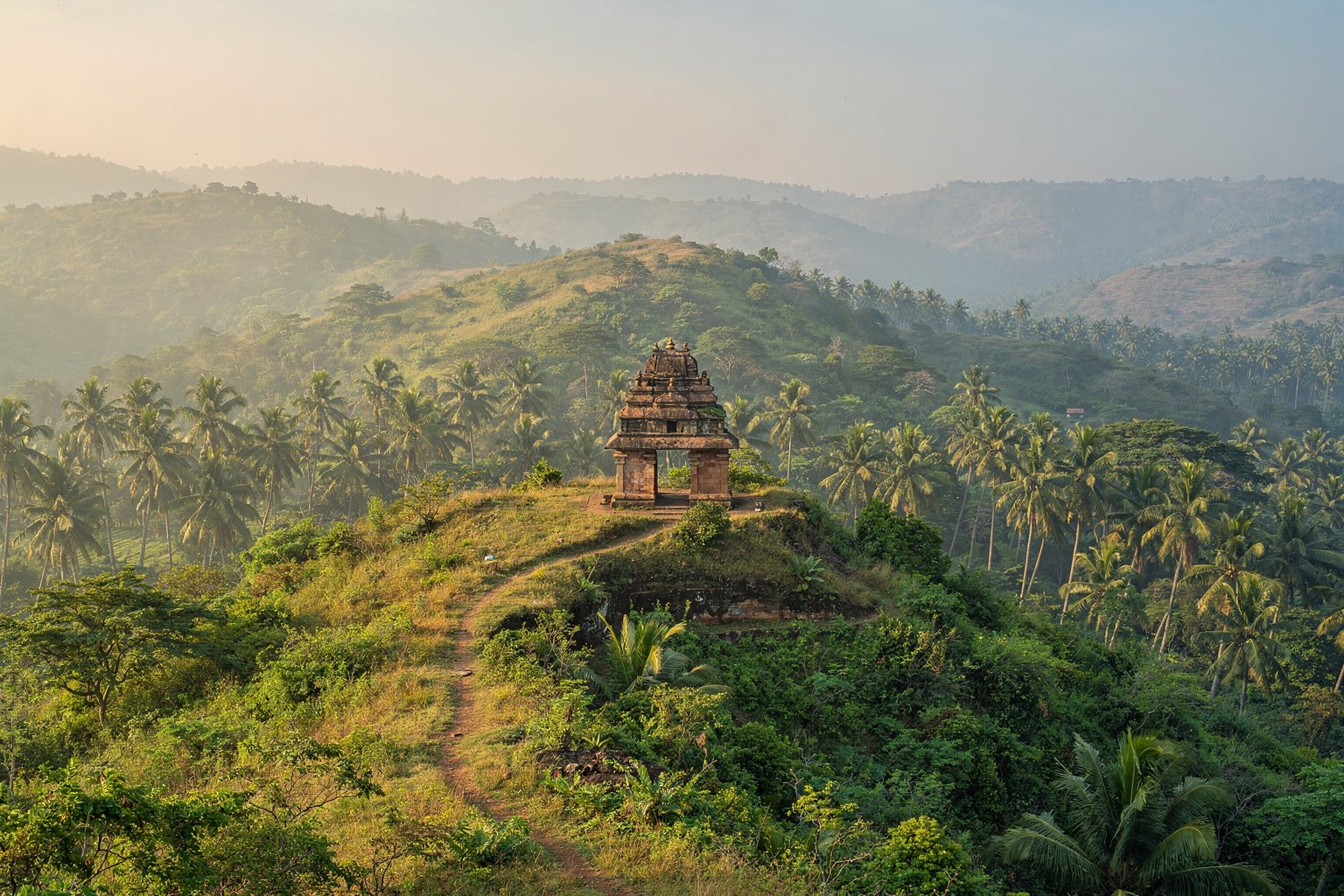 Green hills and coconut groves in western Tamil Nadu (illustrative image)